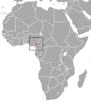 Cameroonian shrew